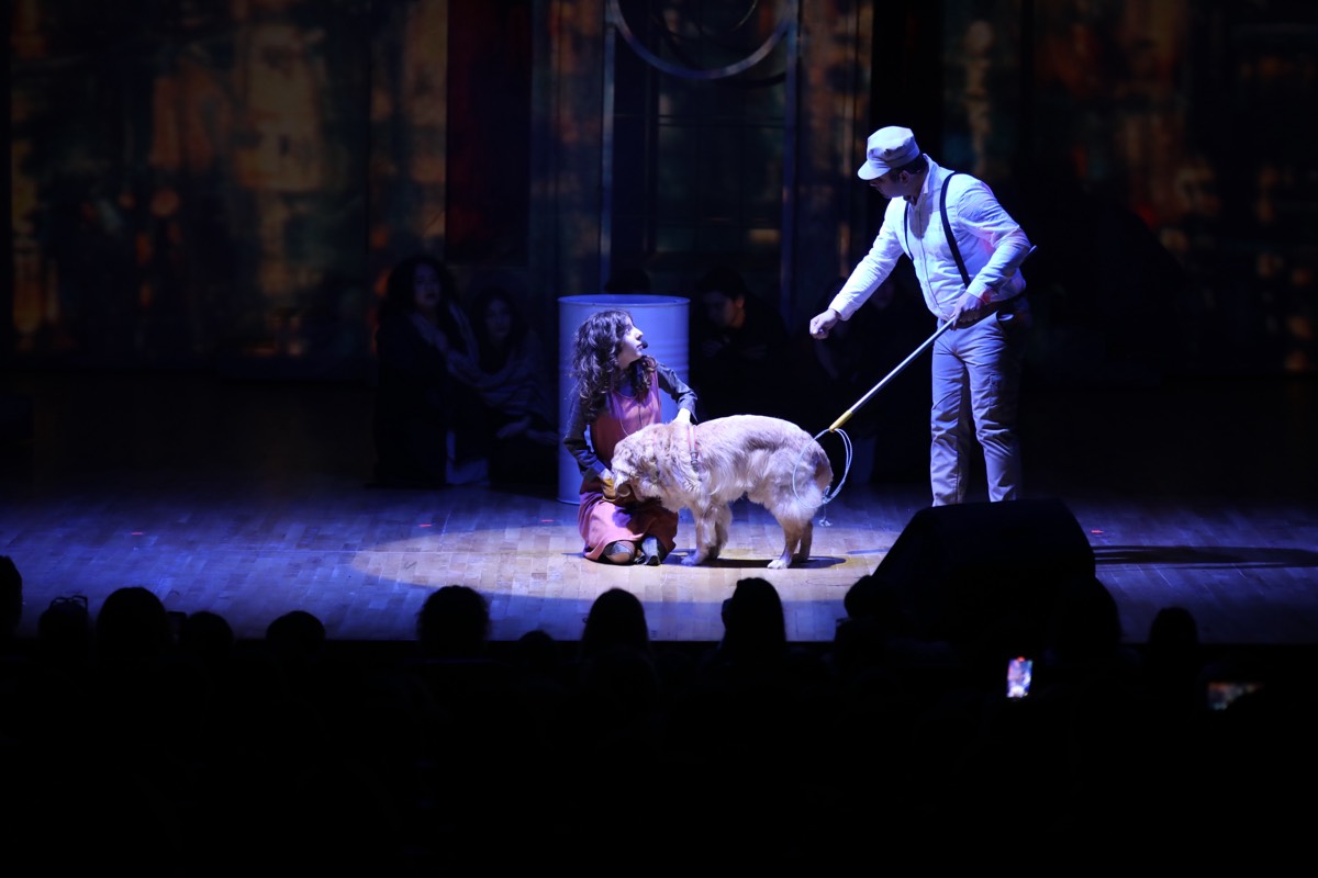 Galeri Fotoğrafı 8